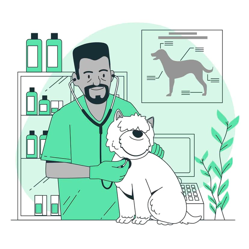 Veterinary Illustration